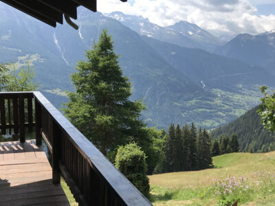 Alphütte Planier Riederalp, Aussicht der Alphütte Planier